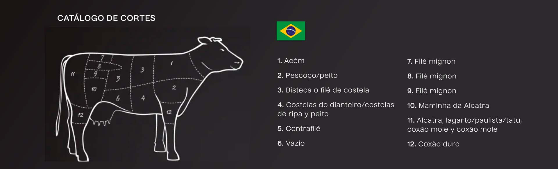 grupo-galetto-argenbeef-catalogo-de-cortes-brasil
