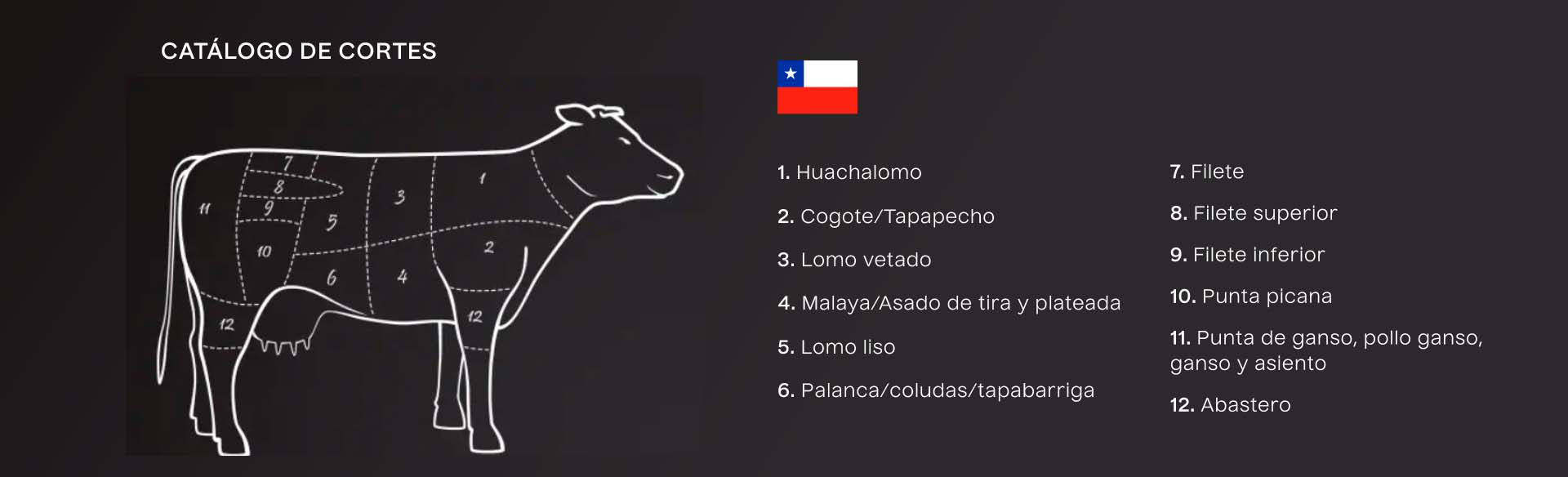 grupo-galetto-argenbeef-catalogo-de-cortes-chile